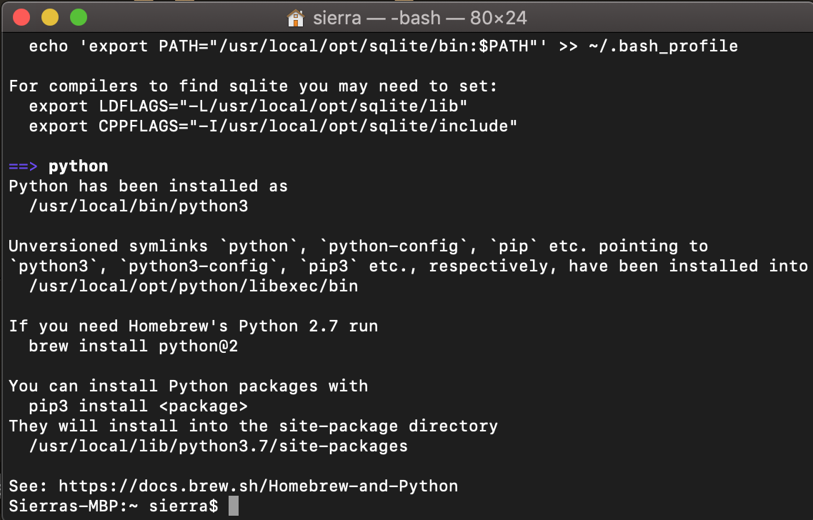 python open terminal
